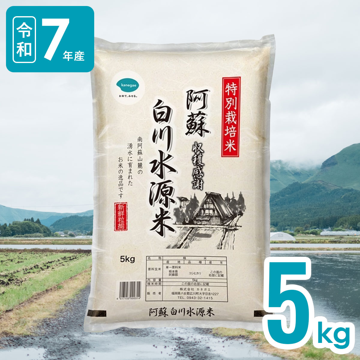 【送料無料】名水百選白川水源 5kg 熊本県阿蘇産 白川水源米こしひかり 令和7年産