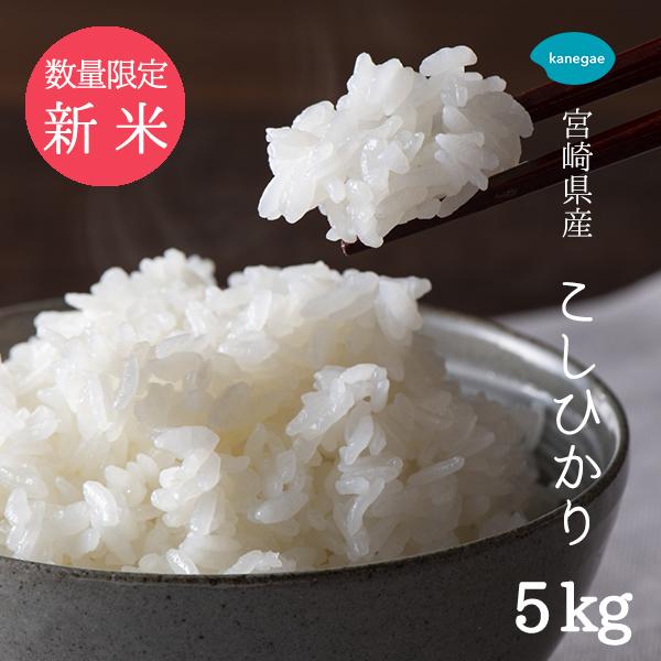 送料無料】福岡県産 10kg ひのひかり 令和6年産