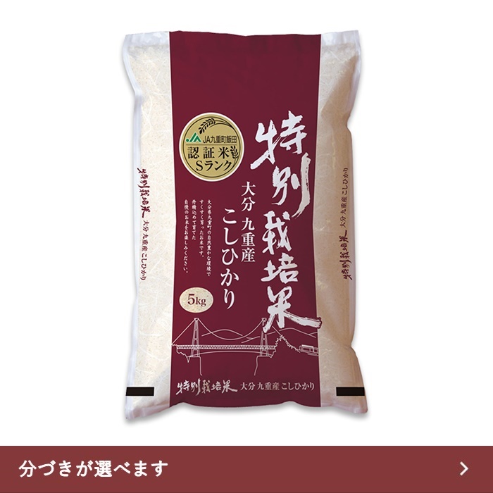 【送料無料】特別栽培米 10kg 大分県産 九重こしひかり 令和5年産